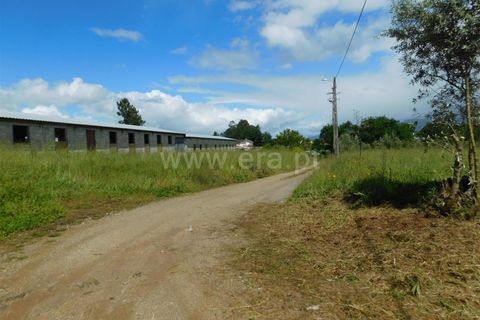 Tomt i Seia, Guarda, Seia - € 57 500 | Ref: 382250026 - foto 6