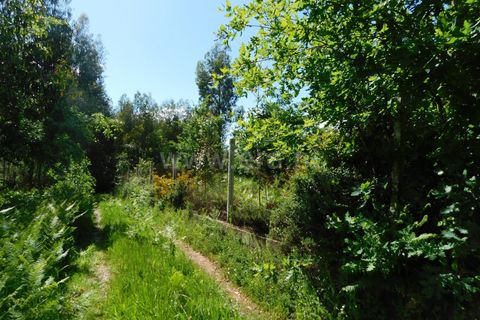 Tomt i Seia, Guarda, Seia - € 57 500 | Ref: 382250026 - foto 7