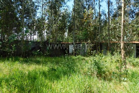Tomt i Seia, Guarda, Seia - € 57 500 | Ref: 382250026 - foto 10
