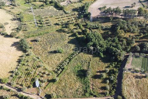 Tomt i Celorico da Beira, Guarda, Celorico da Beira - € 65 000 | Ref: 405240158 - foto 7