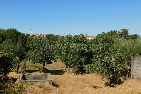 Landejendom i Fundao, Castelo Branco, Fundao - € 32.500 | Ref: 255250064 - foto 3