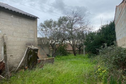 Landejendom i Fundao, Castelo Branco, Fundao - € 67.500 | Ref: 255250065 - foto 4