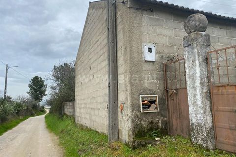 Landejendom i Fundao, Castelo Branco, Fundao - € 67.500 | Ref: 255250065 - foto 5