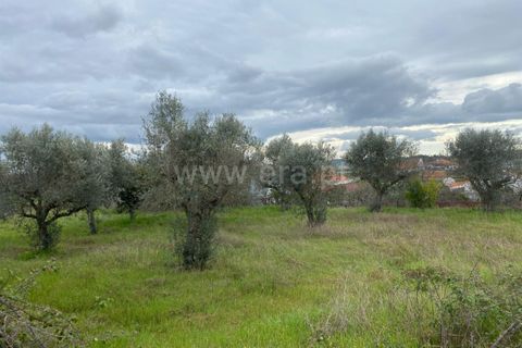 Landejendom i Fundao, Castelo Branco, Fundao - € 67.500 | Ref: 255250065 - foto 6