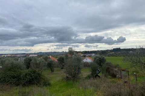 Landejendom i Fundao, Castelo Branco, Fundao - € 67.500 | Ref: 255250065 - foto 8