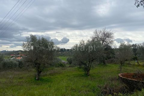 Landejendom i Fundao, Castelo Branco, Fundao - € 67.500 | Ref: 255250065 - foto 9