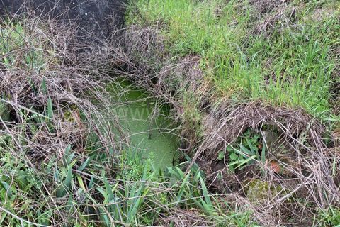 Landejendom i Fundao, Castelo Branco, Fundao - € 67.500 | Ref: 255250065 - foto 10