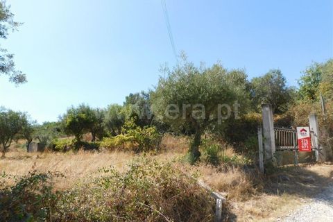 Landejendom i Fundao, Castelo Branco, Fundao - € 67.500 | Ref: 255250065 - foto 11