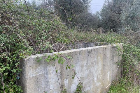 Landejendom i Fundao, Castelo Branco, Fundao - € 67.500 | Ref: 255250065 - foto 12