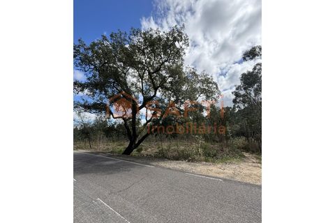 Helårsgrund i Rio Maior, Santarem, Rio Maior - € 70.000 | Ref: SAFTI:006529 - foto 4