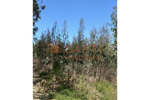 Helårsgrund i Rio Maior, Santarem, Rio Maior - € 70.000 | Ref: SAFTI:006529 - foto 5