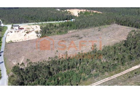 Helårsgrund i Pombal, Leiria, Pombal - € 45.000 | Ref: SAFTI:006498 - foto 3