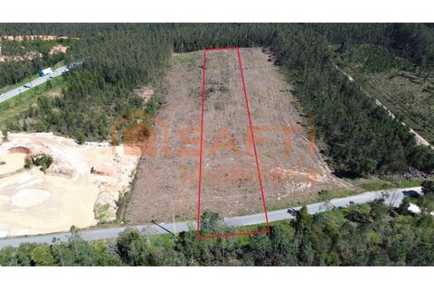 Helårsgrund i Pombal, Leiria, Pombal - € 45.000 | Ref: SAFTI:006498 - foto 4