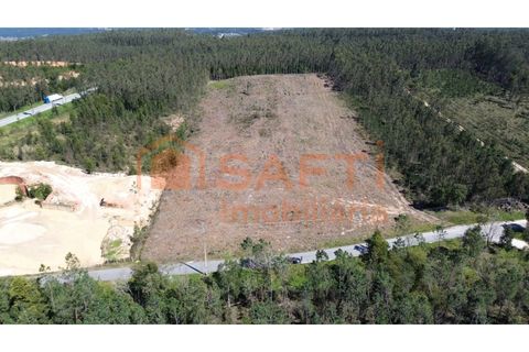Helårsgrund i Pombal, Leiria, Pombal - € 45.000 | Ref: SAFTI:006498 - foto 5