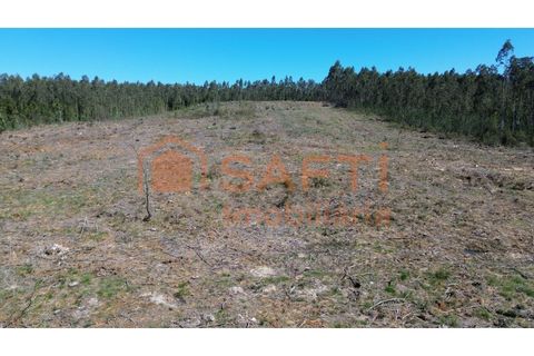 Helårsgrund i Pombal, Leiria, Pombal - € 45.000 | Ref: SAFTI:006498 - foto 6