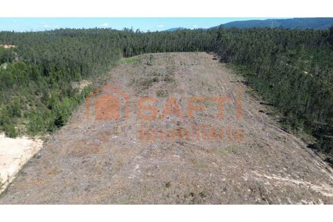 Helårsgrund i Pombal, Leiria, Pombal - € 45.000 | Ref: SAFTI:006498 - foto 7