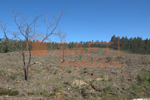 Helårsgrund i Pombal, Leiria, Pombal - € 45.000 | Ref: SAFTI:006498 - foto 8