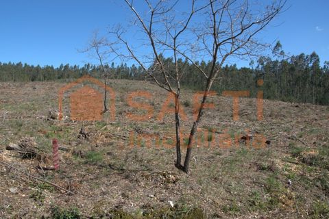 Helårsgrund i Pombal, Leiria, Pombal - € 45.000 | Ref: SAFTI:006498 - foto 9