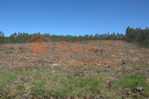 Helårsgrund i Pombal, Leiria, Pombal - € 45.000 | Ref: SAFTI:006498 - foto 10