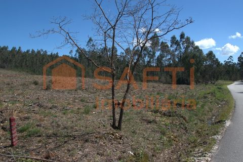 Helårsgrund i Pombal, Leiria, Pombal - € 45.000 | Ref: SAFTI:006498 - foto 12