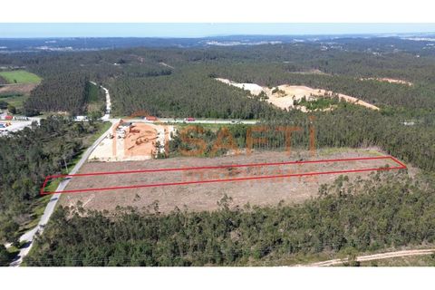 Helårsgrund i Pombal, Leiria, Pombal - € 45.000 | Ref: SAFTI:006498 - foto 2