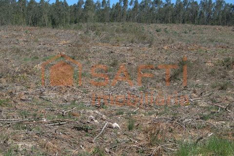 Helårsgrund i Pombal, Leiria, Pombal - € 45.000 | Ref: SAFTI:006498 - foto 13