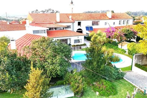 Farm i Pombal, Leiria, Pombal - € 1.950.000 | Ref: SF-SAFTI:006500 - foto 2