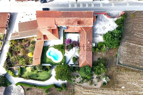 Farm i Pombal, Leiria, Pombal - € 1.950.000 | Ref: SF-SAFTI:006500 - foto 3