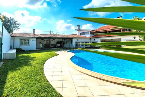 Farm i Pombal, Leiria, Pombal - € 1.950.000 | Ref: SF-SAFTI:006500 - foto 5