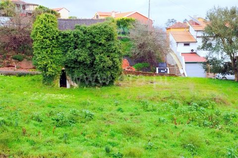 Helårsgrund i Agueda, Aveiro, Agueda - € 180.000 | Ref: 408250069 - foto 1