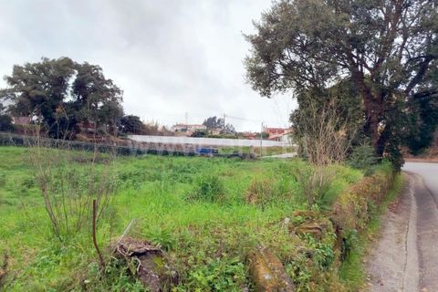 Helårsgrund i Agueda, Aveiro, Agueda - € 180.000 | Ref: 408250069 - foto 6