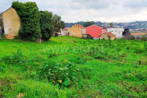 Helårsgrund i Agueda, Aveiro, Agueda - € 180.000 | Ref: 408250069 - foto 10