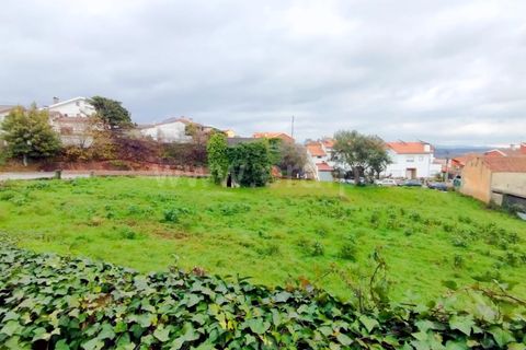 Helårsgrund i Agueda, Aveiro, Agueda - € 180.000 | Ref: 408250069 - foto 12