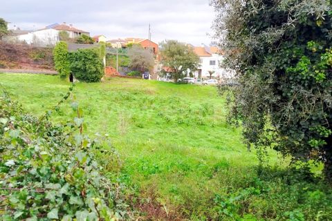Helårsgrund i Agueda, Aveiro, Agueda - € 180.000 | Ref: 408250069 - foto 13