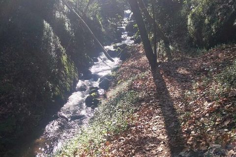 Helårsgrund i Bela, Viana do Castelo, Bela - € 95.000 | Ref: SF-SAFTI:005933 - foto 6