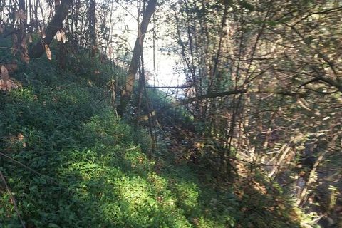 Helårsgrund i Bela, Viana do Castelo, Bela - € 95.000 | Ref: SF-SAFTI:005933 - foto 15