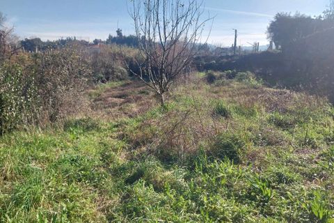 Helårsgrund i Bela, Viana do Castelo, Bela - € 95.000 | Ref: SF-SAFTI:005933 - foto 17