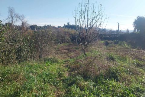 Helårsgrund i Bela, Viana do Castelo, Bela - € 95.000 | Ref: SF-SAFTI:005933 - foto 18
