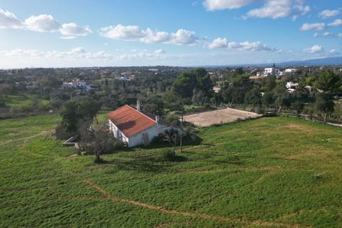 Helårsgrund i Lagoa, Faro, Lagoa - € 1.315.000 | Ref: SF-SAFTI:004027 - foto 4