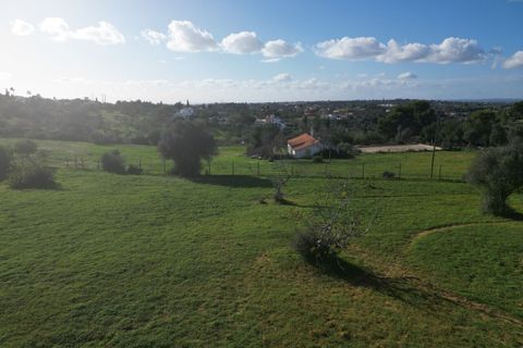 Helårsgrund i Lagoa, Faro, Lagoa - € 1.315.000 | Ref: SF-SAFTI:004027 - foto 13