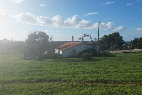 Helårsgrund i Lagoa, Faro, Lagoa - € 1.315.000 | Ref: SF-SAFTI:004027 - foto 14