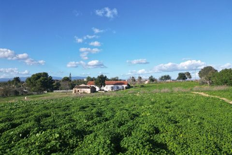 Helårsgrund i Lagoa, Faro, Lagoa - € 1.315.000 | Ref: SF-SAFTI:004027 - foto 9