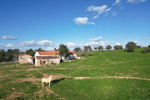 Helårsgrund i Lagoa, Faro, Lagoa - € 1.315.000 | Ref: SF-SAFTI:004027 - foto 7