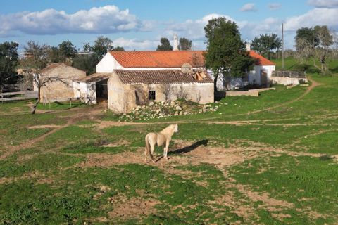 Helårsgrund i Lagoa, Faro, Lagoa - € 1.315.000 | Ref: SF-SAFTI:004027 - foto 2