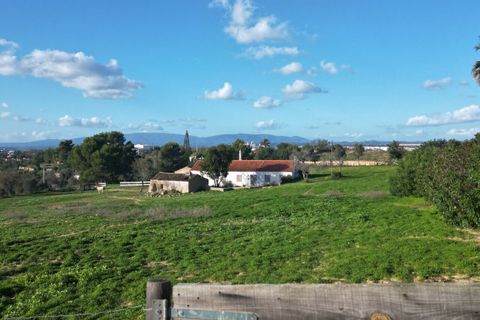Helårsgrund i Lagoa, Faro, Lagoa - € 1.315.000 | Ref: SF-SAFTI:004027 - foto 15