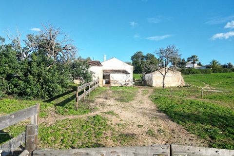 Helårsgrund i Lagoa, Faro, Lagoa - € 1.315.000 | Ref: SF-SAFTI:004027 - foto 5