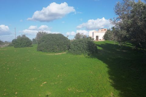 Helårsgrund i Lagoa, Faro, Lagoa - € 1.315.000 | Ref: SF-SAFTI:004027 - foto 17