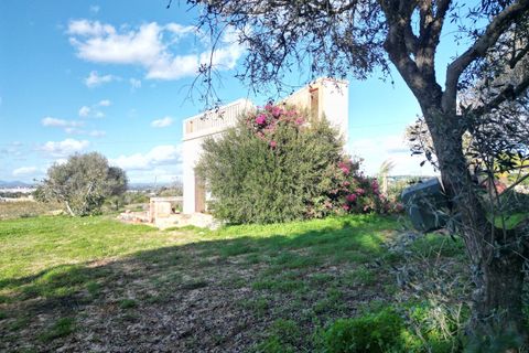 Helårsgrund i Lagoa, Faro, Lagoa - € 1.315.000 | Ref: SF-SAFTI:004027 - foto 18