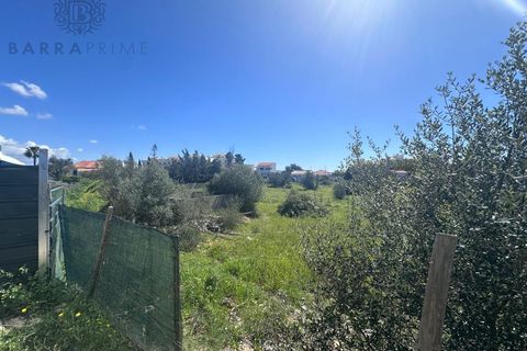 Helårsgrund i Almancil, Faro, Almancil - € 1.950.000 | Ref: 539 - foto 3