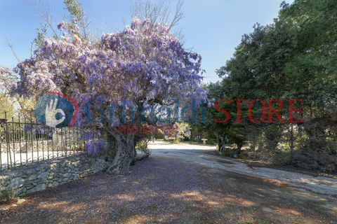 Villa i Lizzanello, Lecce, Lizzanello - € 1.500.000 | Ref: 1500VILLADIANA - foto 35